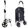 Picture of Portable shopping trolley